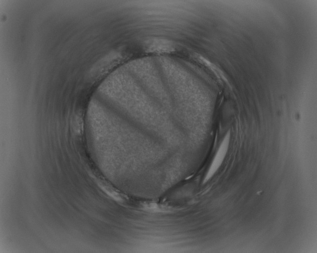 X0000081280517200702012222