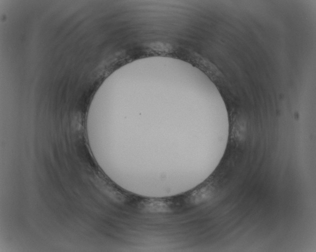 X0000081280518200702012222