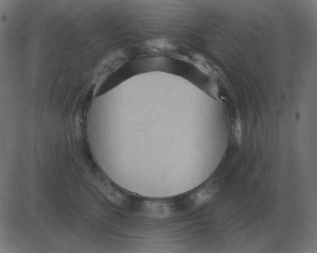 X0000081280520200702012222