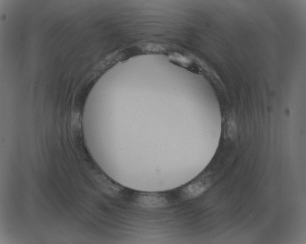 X0000081280521200702012222