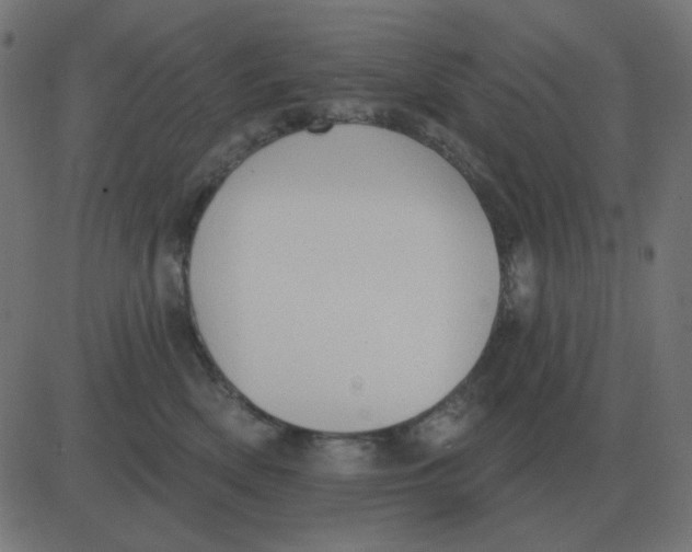 X0000081280522200702012222