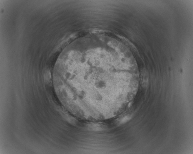 X0000081280523200702012222