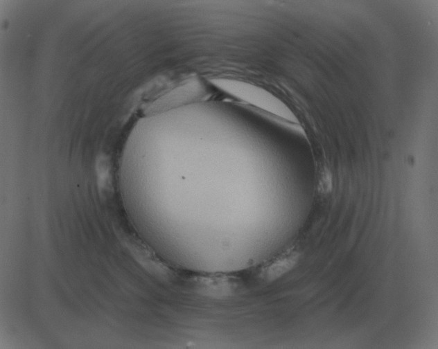 X0000081280524200702012222