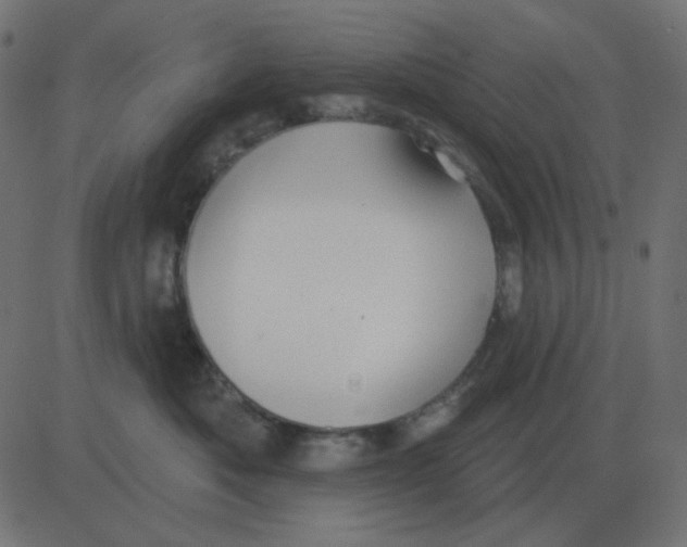 X0000081280525200702012222