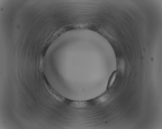 X0000081280526200702012222