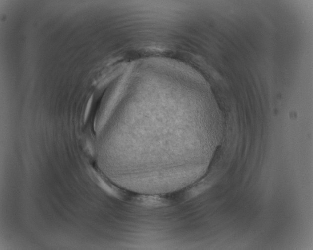 X0000081280528200702012222