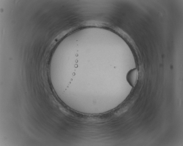 X0000081280529200702012221