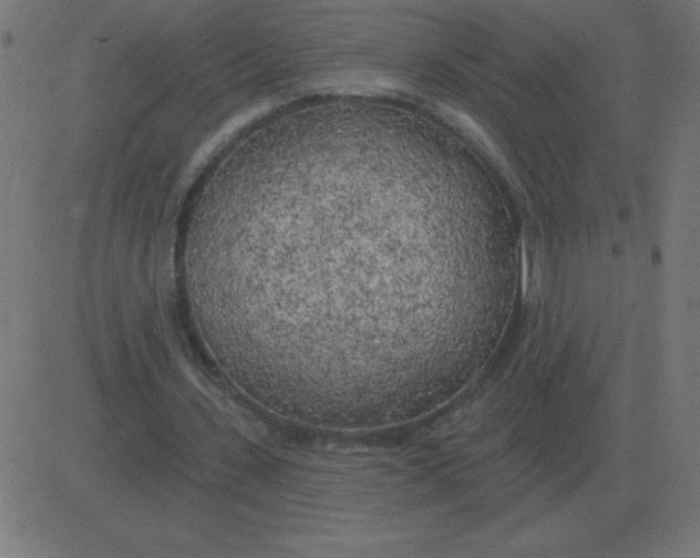 X0000081280531200702012221