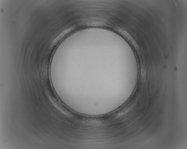 X0000081280533200702012221