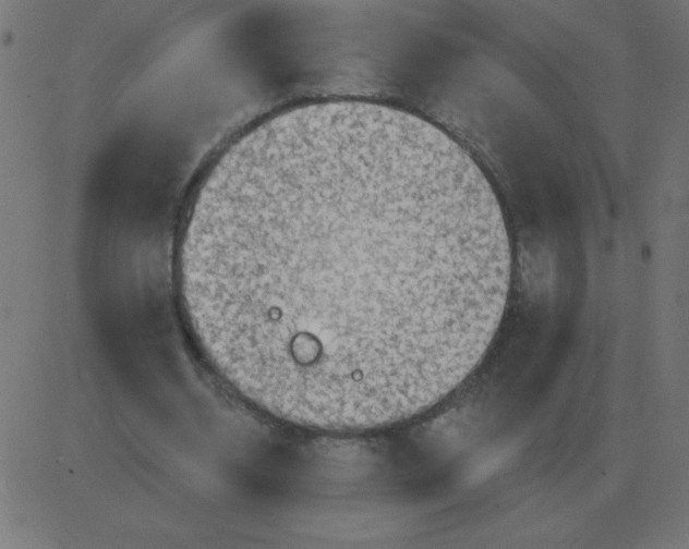 X0000081280534200702012221