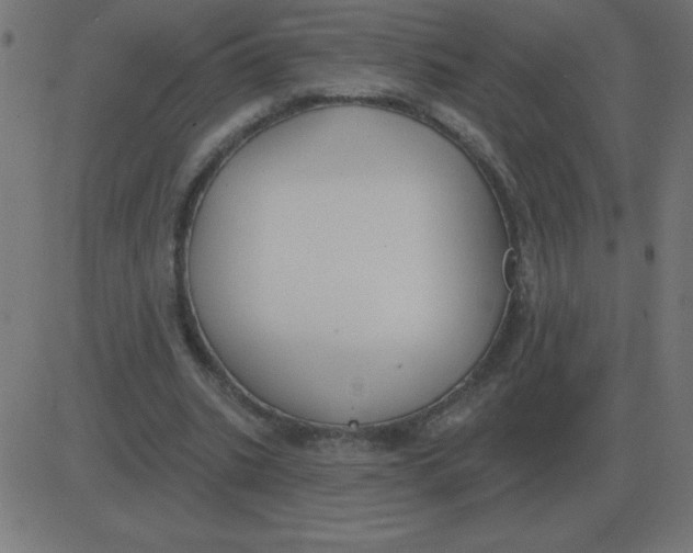 X0000081280535200702012221