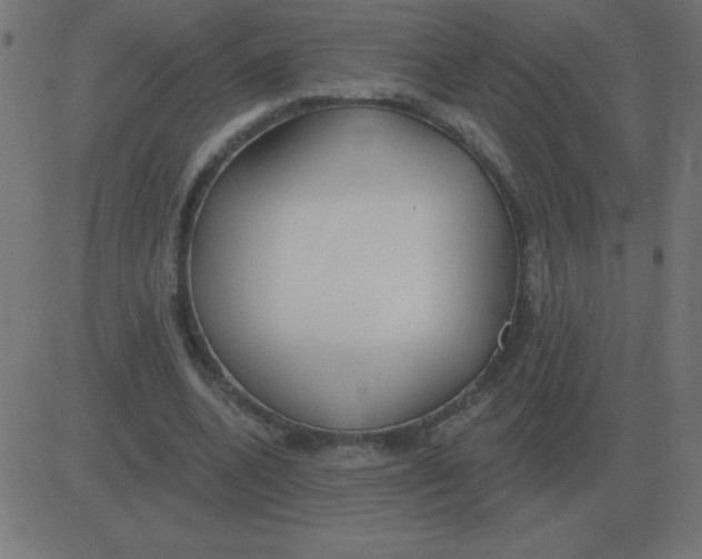 X0000081280536200702012221