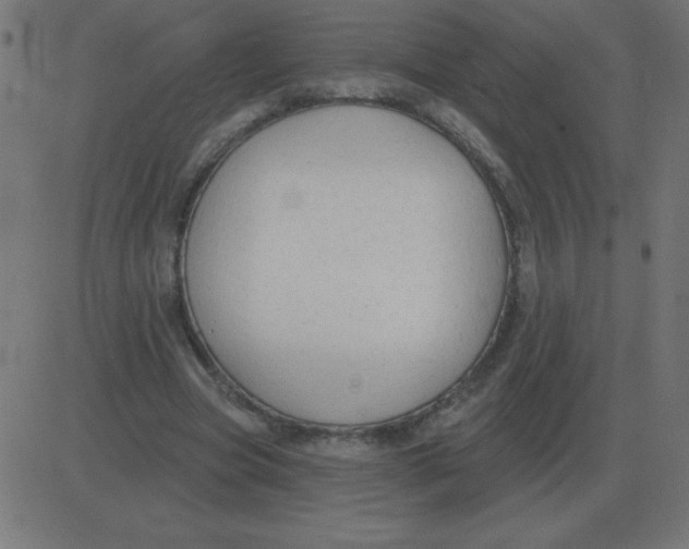 X0000081280537200702012221