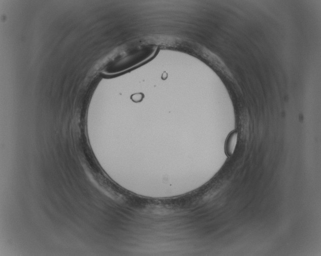 X0000081280538200702012221