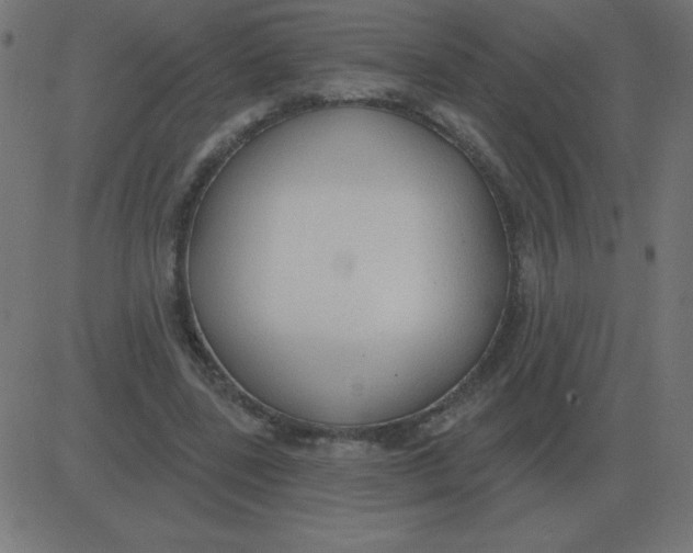 X0000081280539200702012221