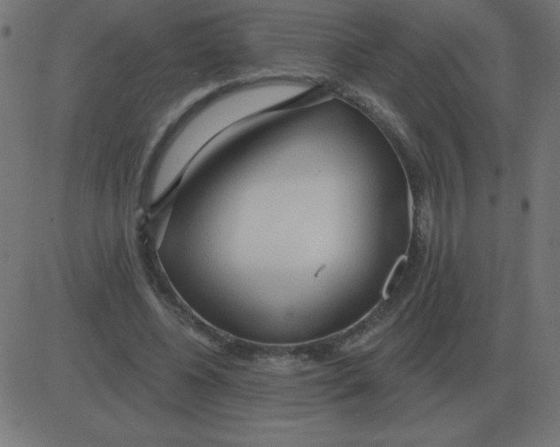 X0000081280540200702012221