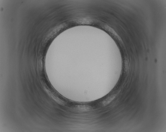 X0000081280541200702012221