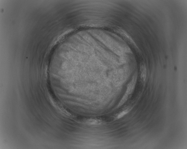 X0000081280542200702012221