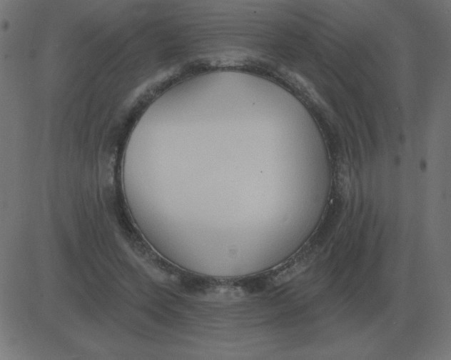 X0000081280543200702012221