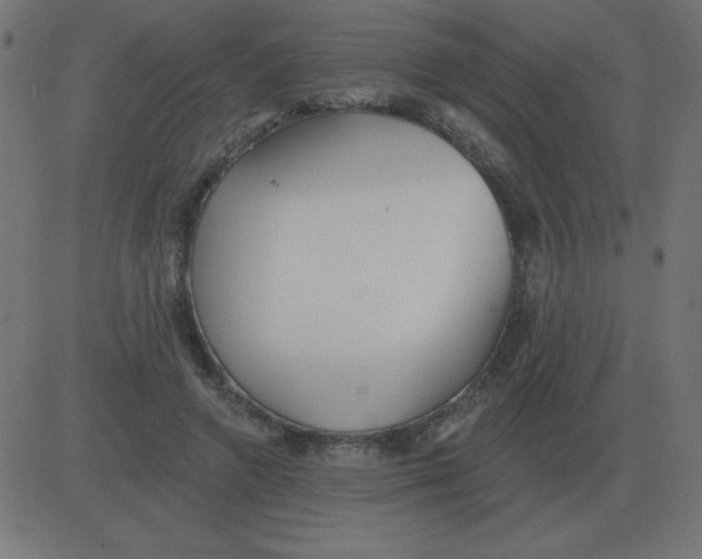 X0000081280546200702012221