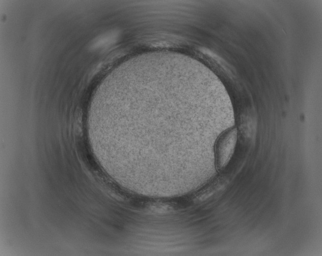 X0000081280547200702012221