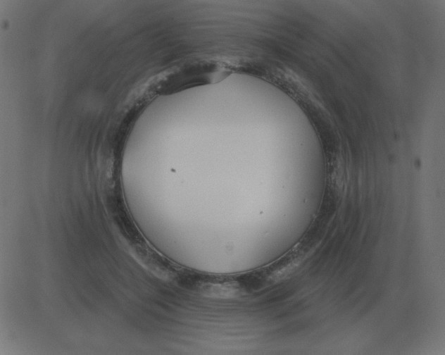 X0000081280548200702012221