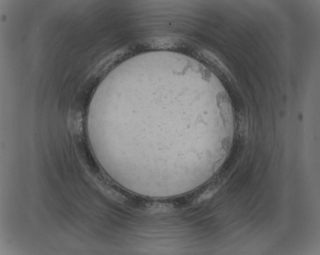 X0000081280549200702012221