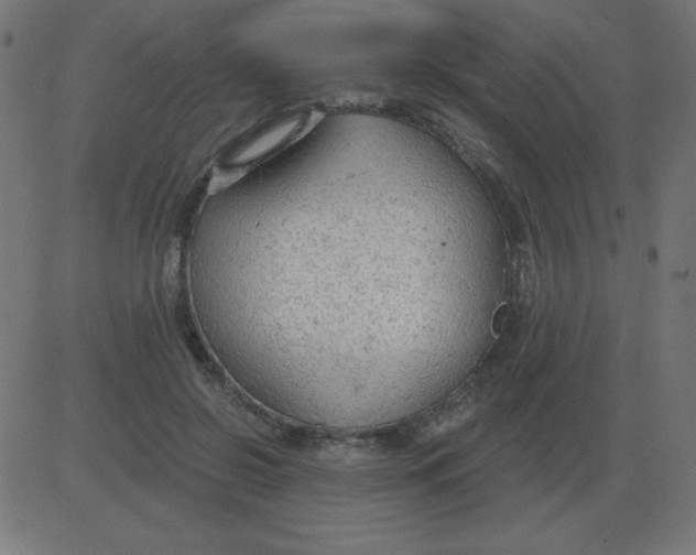 X0000081280550200702012221