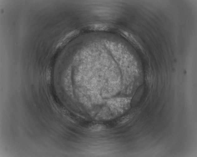 X0000081280551200702012221