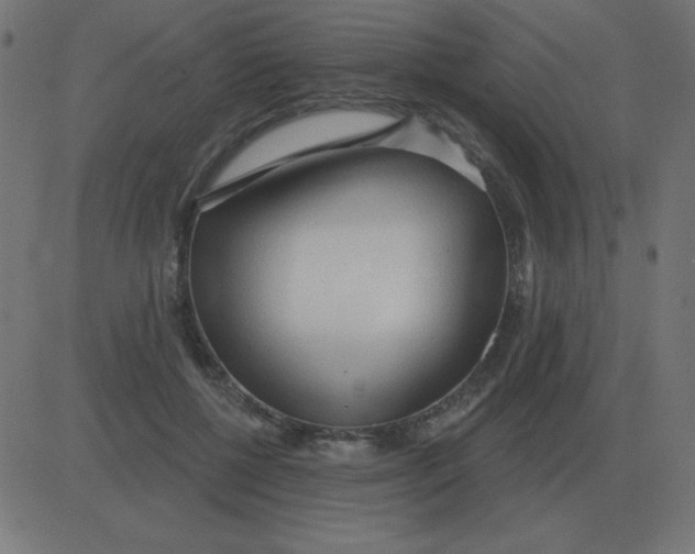 X0000081280552200702012221