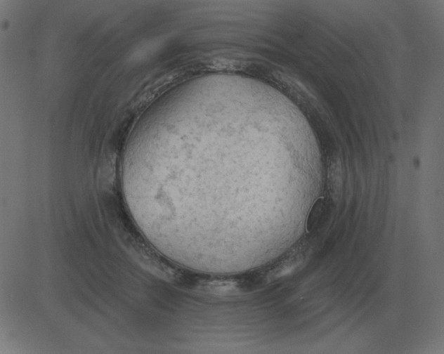 X0000081280554200702012221