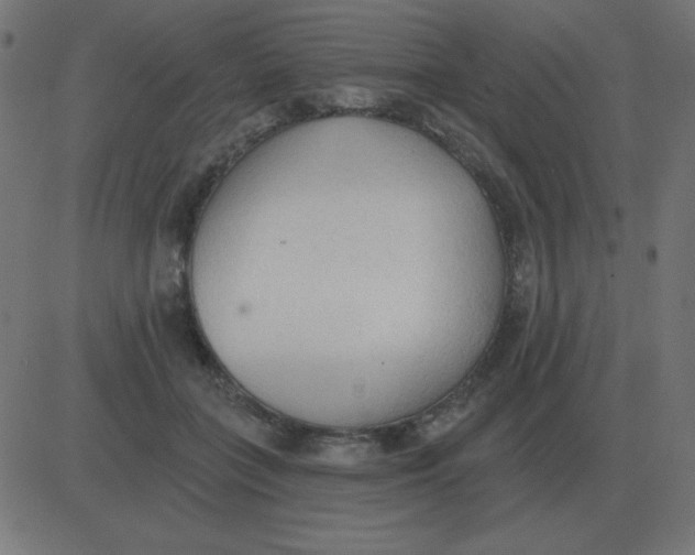 X0000081280555200702012221