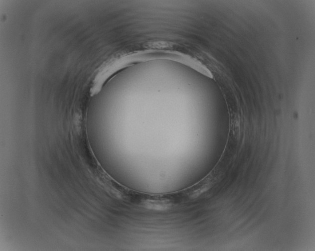 X0000081280556200702012221