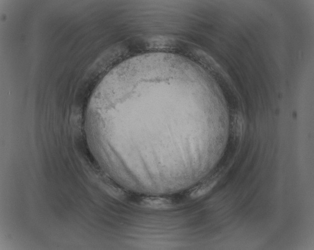 X0000081280557200702012221