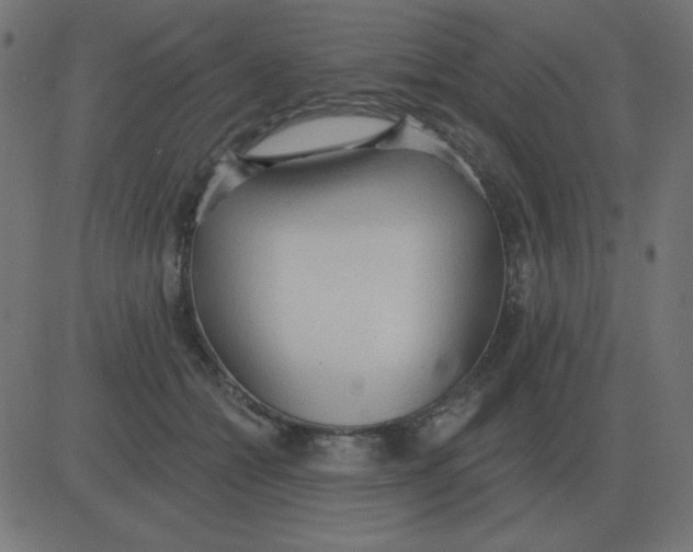 X0000081280558200702012221