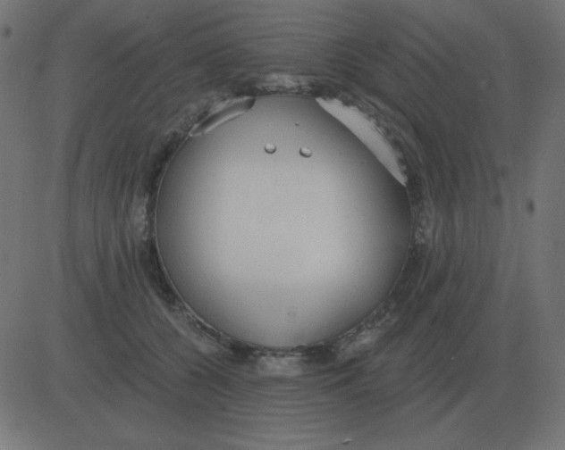 X0000081280560200702012221