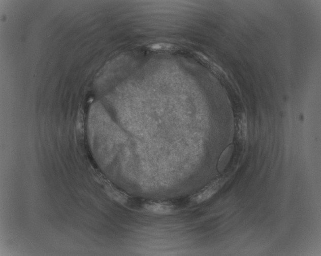 X0000081280561200702012221