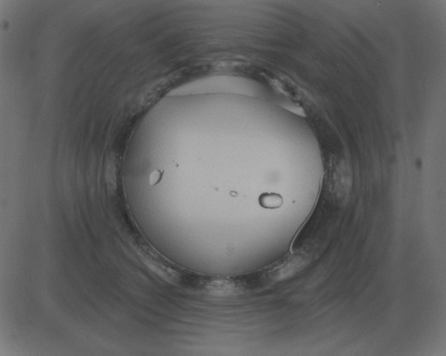 X0000081280562200702012221