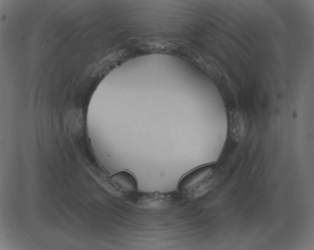 X0000081280563200702012221