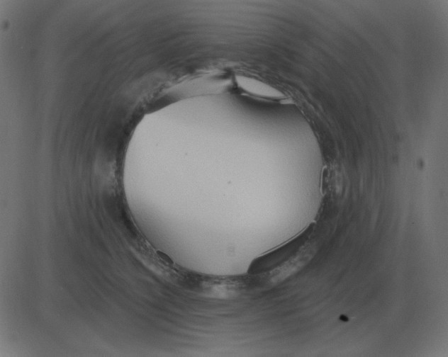 X0000081280564200702012221