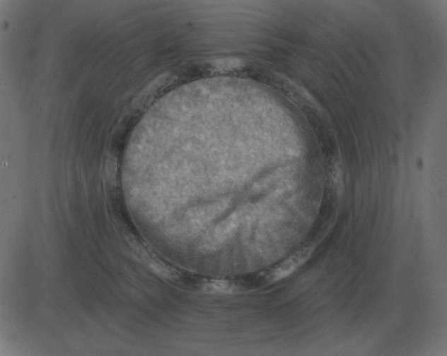 X0000081280565200702012221