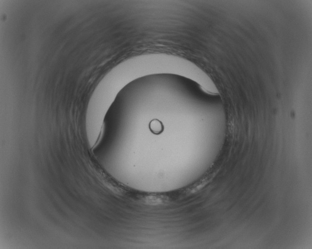 X0000081280566200702012221