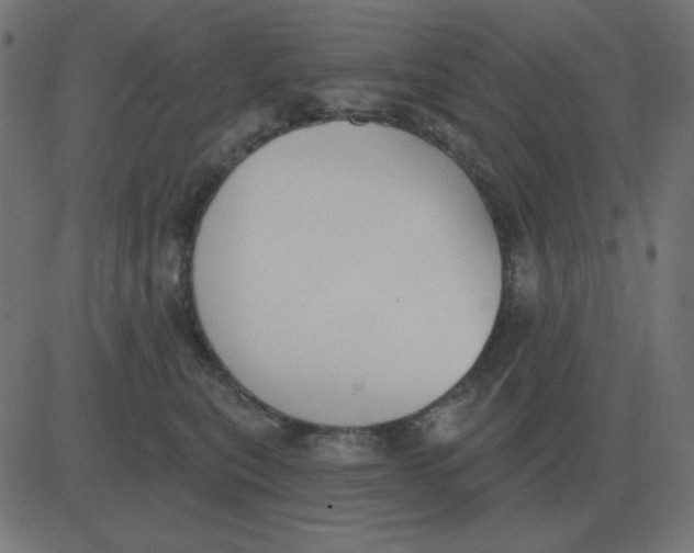 X0000081280567200702012221