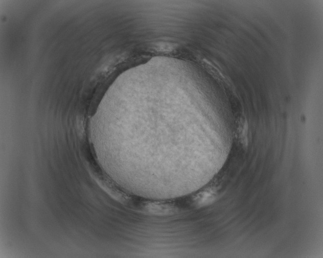 X0000081280568200702012221