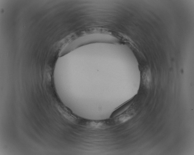 X0000081280570200702012221