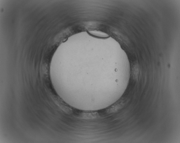 X0000081280571200702012221