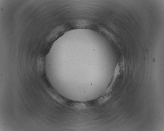 X0000081280572200702012222