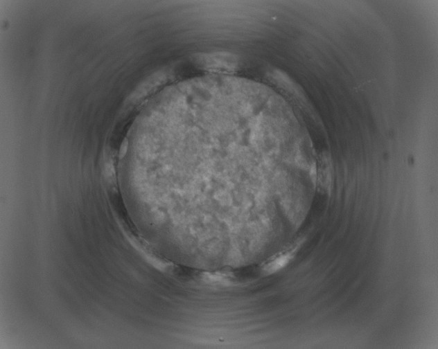 X0000081280573200702012222