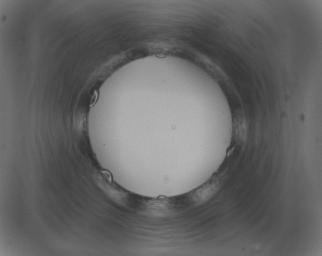 X0000081280574200702012222