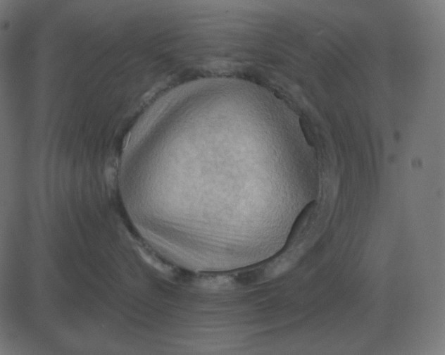 X0000081280576200702012222